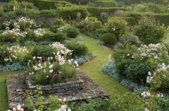 Монохромний сад — новий тренд в ландшафтному дизайні